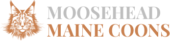 Moosehead Maine Coons
